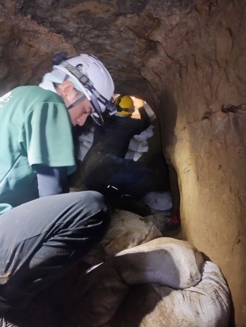 沖縄調査2026年 1月①