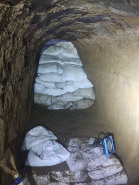 沖縄調査2026年 1月①