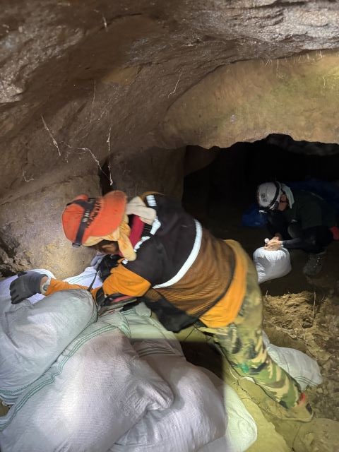 沖縄調査2026年 1月①