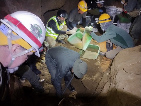 沖縄調査2026年 1月②