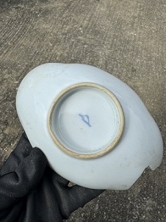 沖縄調査2026年 1月②