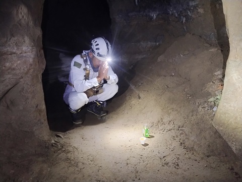 沖縄調査2026年 1月②