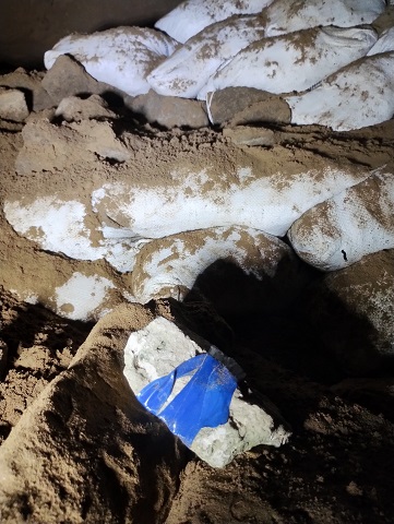 沖縄調査2026年 1月②