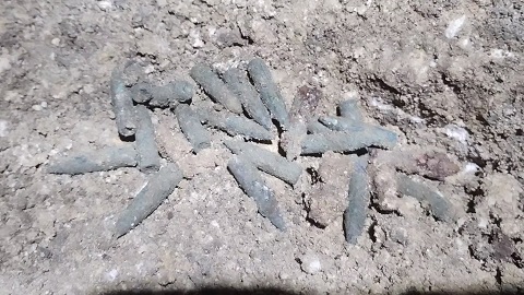 2月沖縄調査　3日目（2月24日）