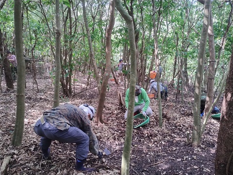 ４月沖縄 遺骨収容 初日