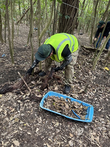 ４月沖縄 遺骨収容 2日目