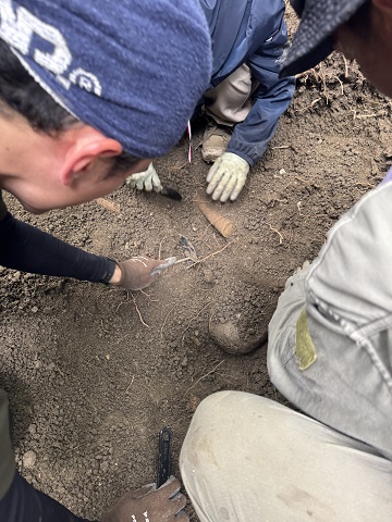 ４月沖縄 遺骨収容 3日目