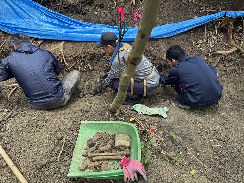 ４月沖縄 遺骨収容 3日目