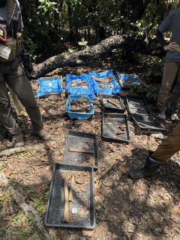 ４月沖縄 遺骨収容 3日目