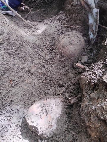８月沖縄 遺骨収容 3日目