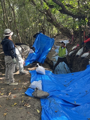 ８月沖縄 遺骨収容 ５日目