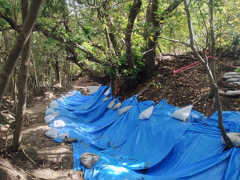 ８月沖縄 遺骨収容 ５日目