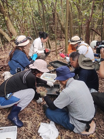 ８月沖縄 遺骨収容９日目